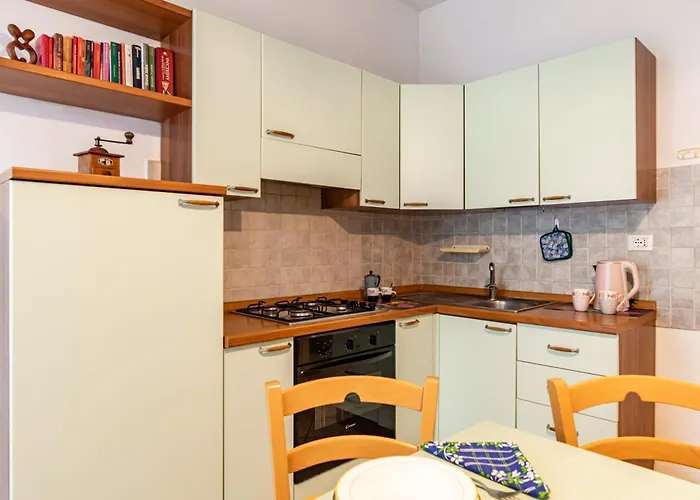 Guest Host - Il Loto *